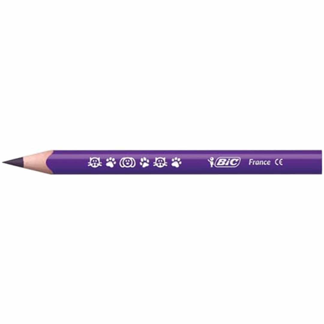BIC Kids Evolution ECOlutions, Triangular Colouring Pencils, Ideal for School, Assorted Colours, Pack of 12 - Infinity Market
